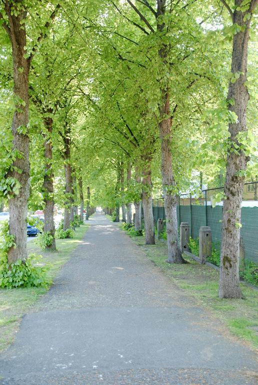 Cabin Guesthouse With Free Parking ปาร์นู ภายนอก รูปภาพ